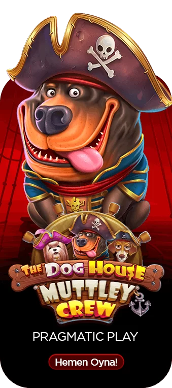Dog House