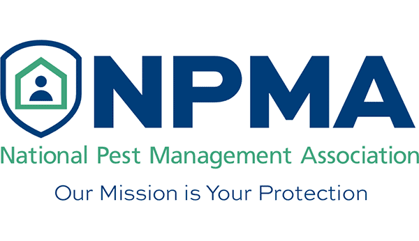 Bedbugs Presidio Pest Management