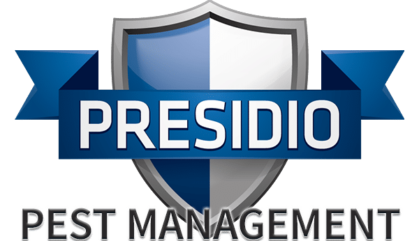 Bedbugs Presidio Pest Management