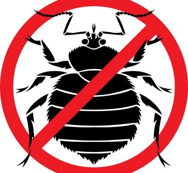 anti bedbug