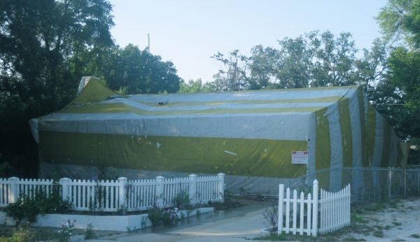 expense Bedbugs Presidio Pest Management