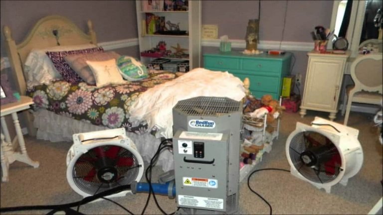 heat treatment Bedbugs Presidio Pest Management