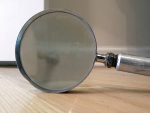 Bedbug magnifying glass Presidio Pest Management