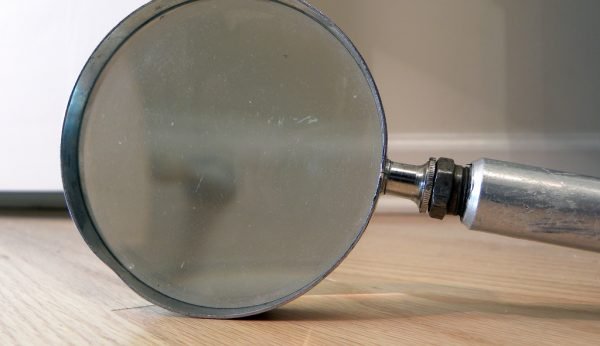 Bedbug magnifying glass Presidio Pest Management