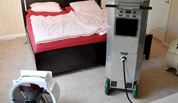 bed bugs treatment presidio