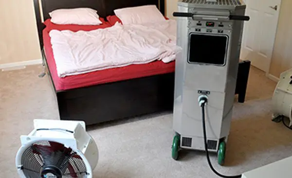 bed bugs treatment presidio
