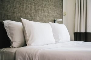 bed bugs in hotel room Presidio Pest Management