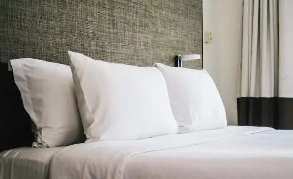 bed bugs in hotel room Presidio Pest Management