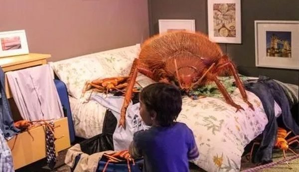 Presidio Pest Management