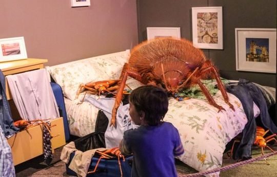 bedbug nightmare Bedbugs Presidio Pest Management