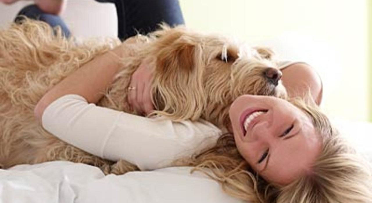 Presidio Pest Management girl in bed