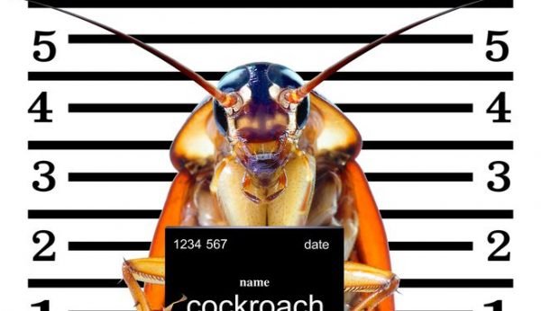 bug ID Presidio Pest Management