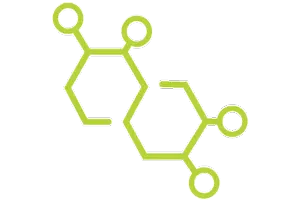 Chemical Presidio Pest Management bed bug chemical treatment