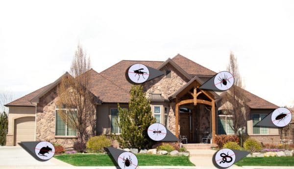 home inspects - Presidio Pest Management