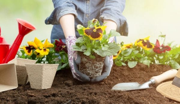 Garden Pests - Presidio Pest Management