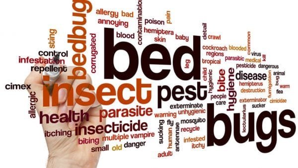 Bed Bugs - Presidio Pest Management