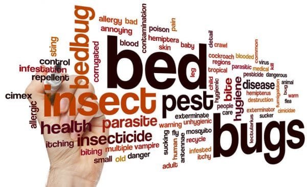 Bed Bugs - Presidio Pest Management