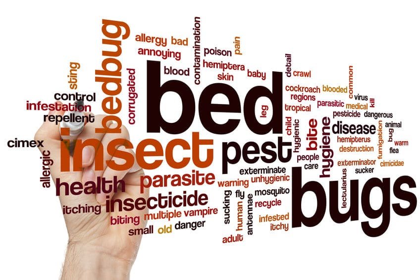 Bed Bugs - Presidio Pest Management