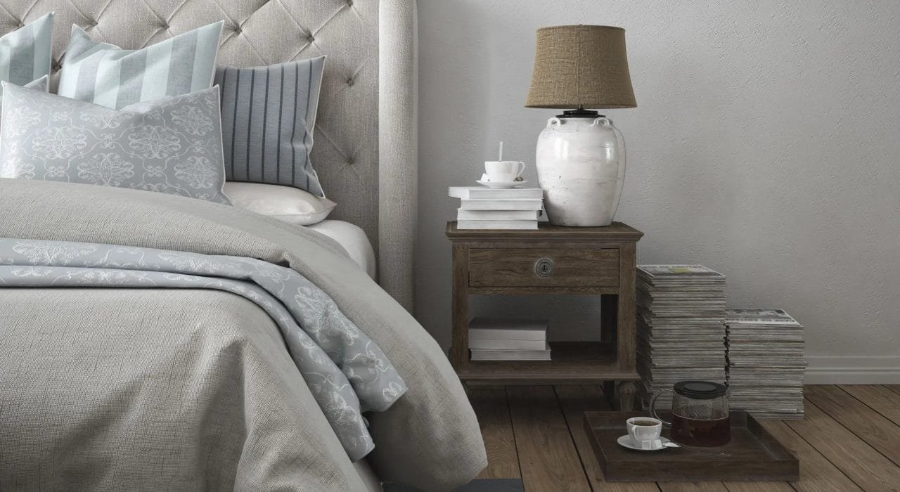 bed bugs and extermination