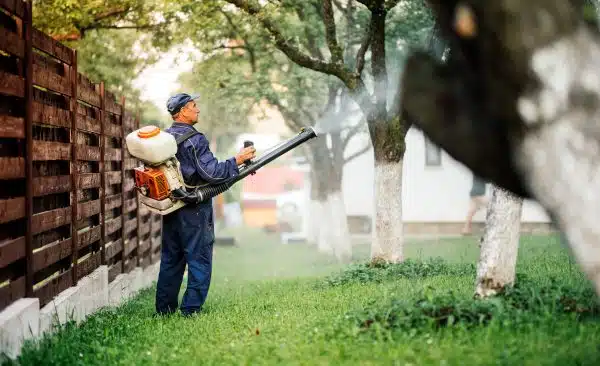 Mosquito treatment plans from Presidio Pest Management - Bed Bugs