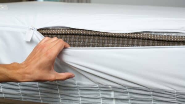 Chemical Treatment for Bed Bugs