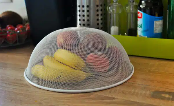 Presidio Pest Management Fruit flies home remedies