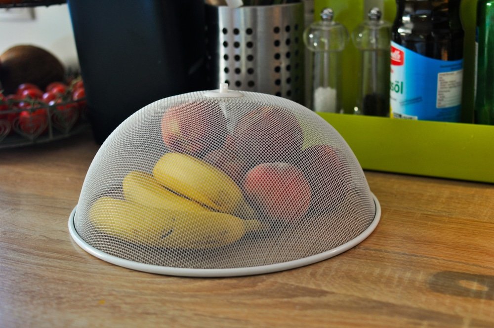 Fruit flies home remedies