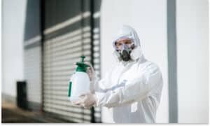 Chemical Treatment for Bed Bugs