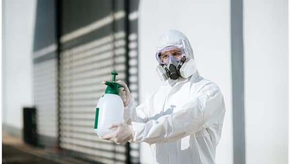 Chemical Treatment for Bed Bugs