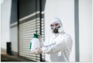 Chemical Treatment for Bed Bugs