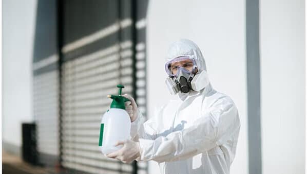 Chemical Treatment for Bed Bugs