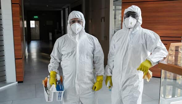 Heat Treatment for Bed Bugs Auburn Hills