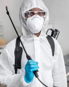 Heat Treatment for Bed Bugs Auburn Hills