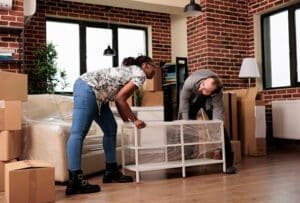 Heat Treatment for Bed Bugs Auburn Hills