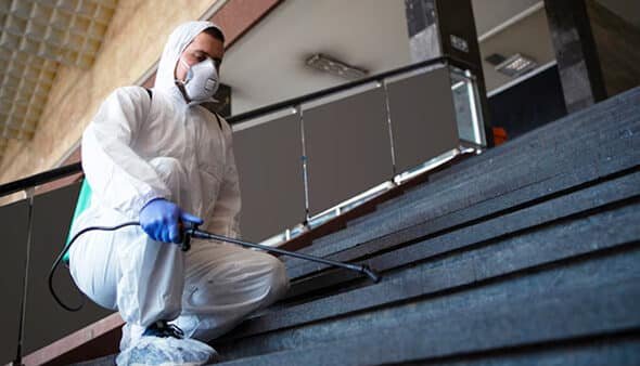 Heat Treatment for Bed Bugs in Birmingham