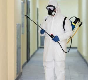 Bed Bug Heat Treatment Services in Bloomfield Hills, MI