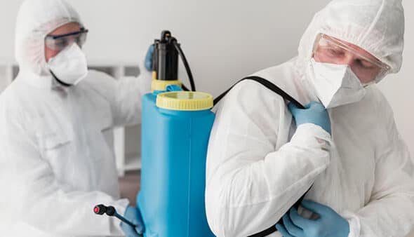 Heat Treatment for Bed Bugs in Southfield, Michigan