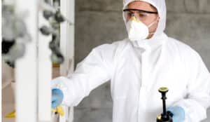Heat Treatment for Bed Bugs in Lake Orion