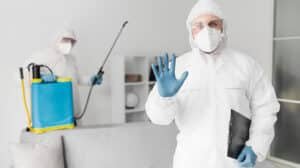 Heat Treatment for Bed Bugs in Rochester Hills, MI
