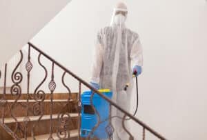 Heat Treatment for Bed Bugs in Rochester Hills, MI