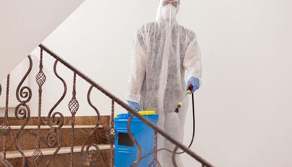 Heat Treatment for Bed Bugs in Rochester Hills, MI