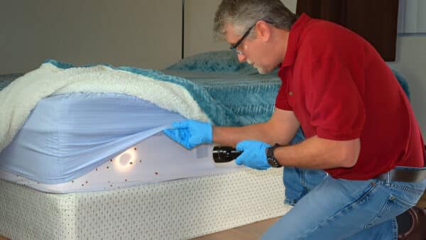 Bed Bug Heat Treatment Services in Bloomfield Hills, MI
