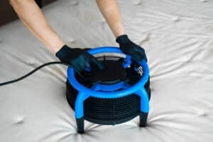 Heat Treatment for Bed Bugs in Southfield, Michigan