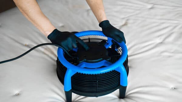 Heat Treatment for Bed Bugs in Southfield, Michigan