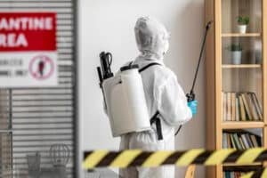 Chemical Treatment for Bed Bugs Southfield