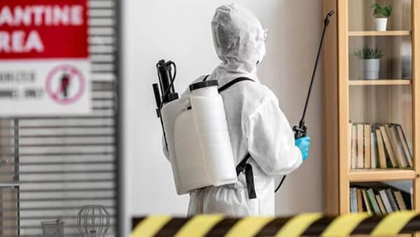 Chemical Treatment for Bed Bugs Southfield