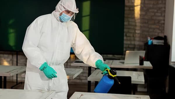 Chemical Treatment for Bed Bugs Southfield