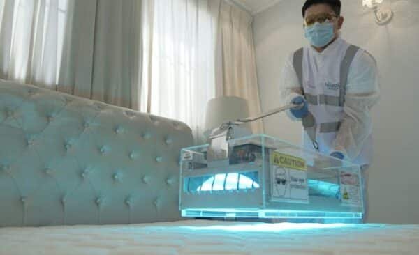 signs of bed bug infestation