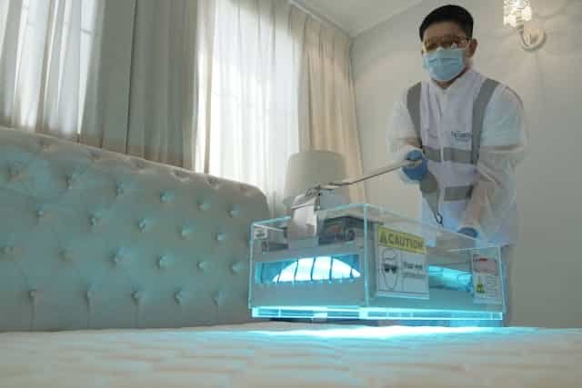 signs of bed bug infestation