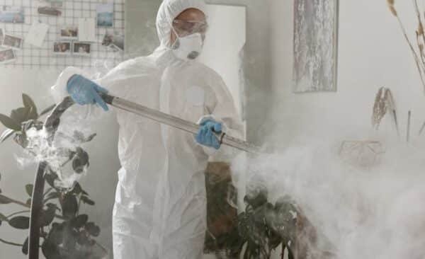 Bed bug prep Bloomfield Hills